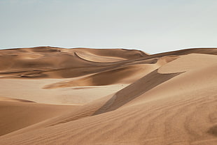 brown desert photo