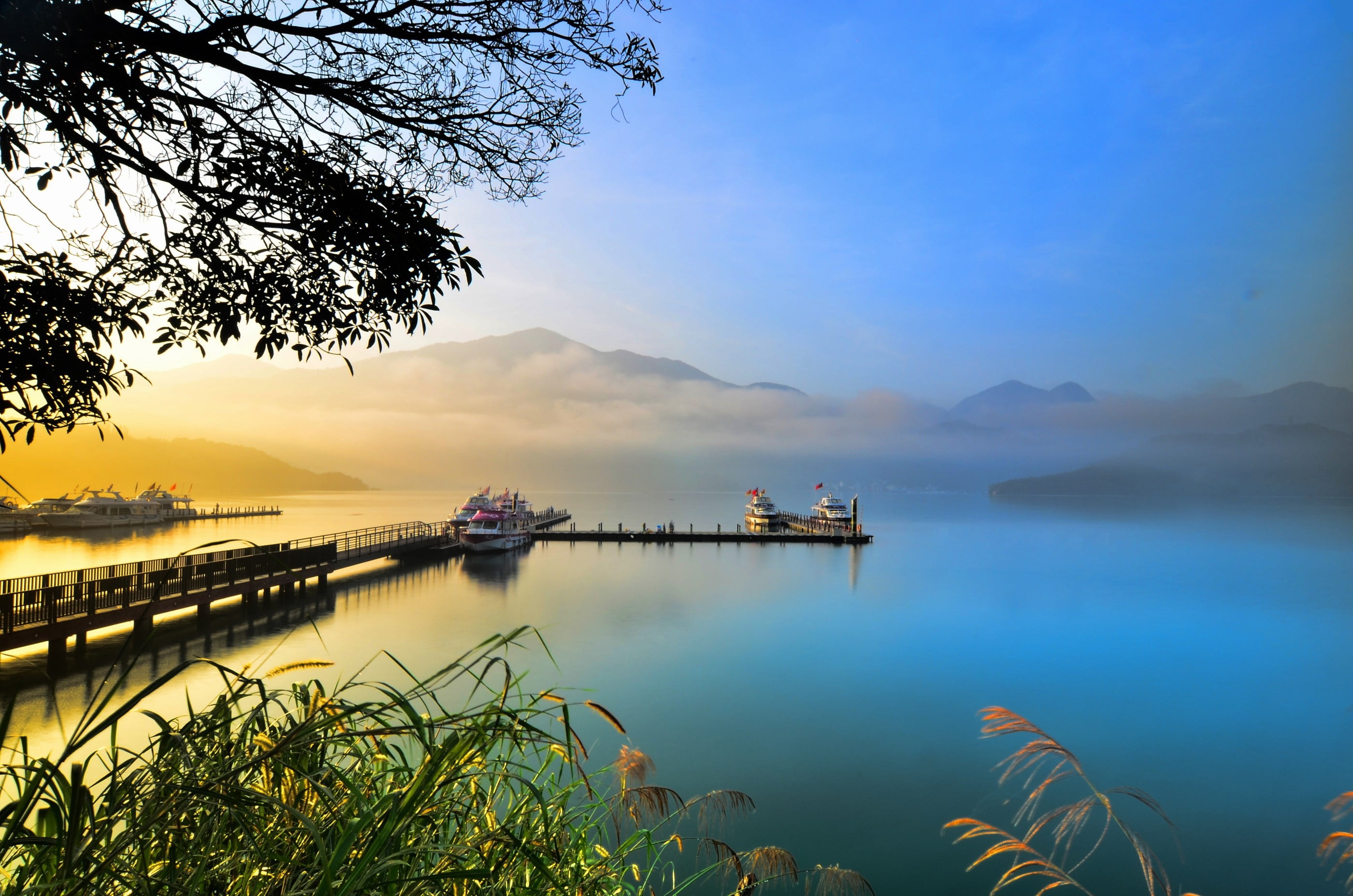 green grass with blue and yellow lake