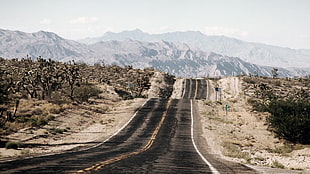 black asphalt road, landscape, road, desert, Arizona