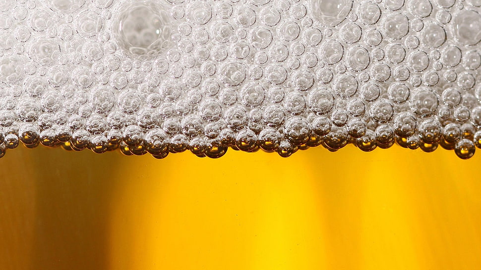 silver-colored and white pearl beaded necklace, beer HD wallpaper