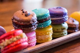 assorted macaroons in focus photography