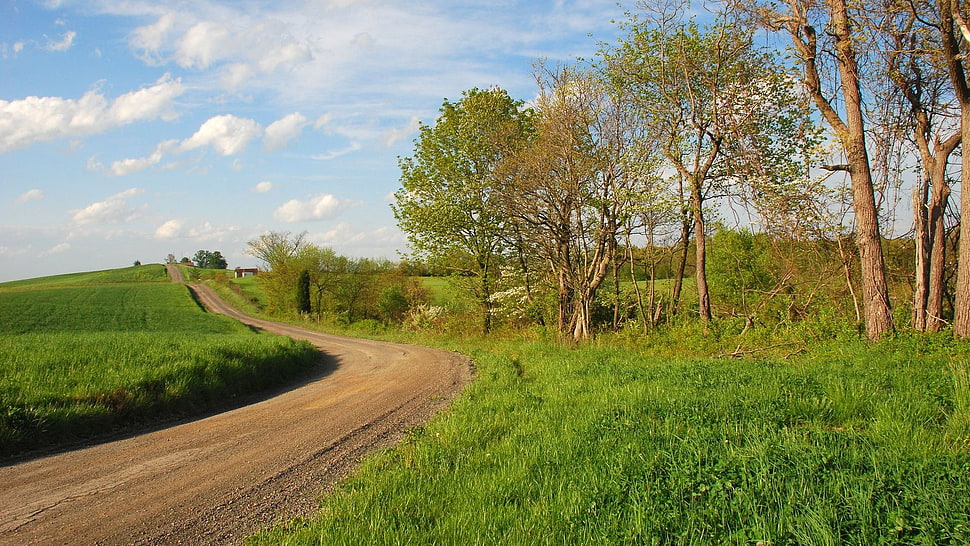brown road between green grass field HD wallpaper