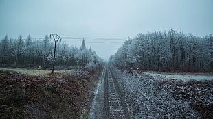 brown field, railway, landscape, trees, cold