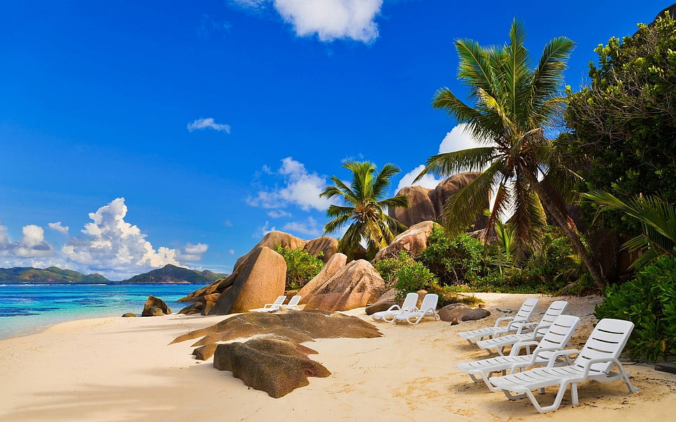 white lounge chairs, beach, palm trees HD wallpaper