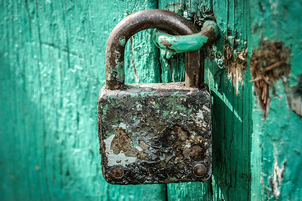 brown padlock beside green surface HD wallpaper