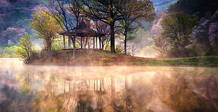 brown gazebo, lake, mist, reflection, spring HD wallpaper