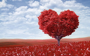 red heart tree with fields