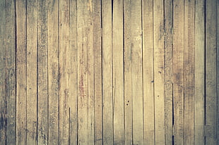 photography of brown wooden plank