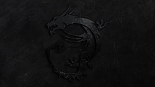 dragon, MSI