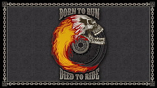 Born to Run Died to Ride graphic, artwork, skull, fire