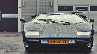 black sports car, car, Lamborghini, Dutch, water drops