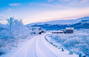 snow covered house, mountains, winter, town, road