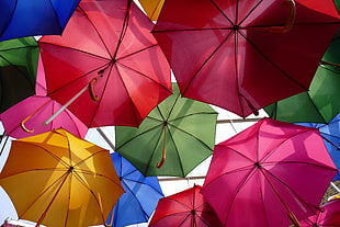 opened umbrella lot during daytime HD wallpaper