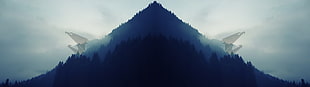 cartoon illustration wallpaper, Aorus, landscape, forest, eagle