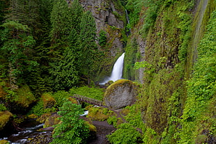mountain water falls with trees