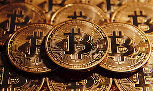 round gold-colored Bitcoin lot, Bitcoin, coin, gold HD wallpaper