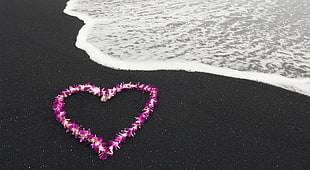 purple heart on seashore HD wallpaper