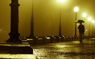 silhouette photography of a person standing beside light post holding umbrella during nighttime