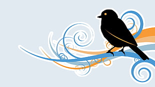 black bird illustration