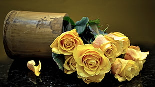 yellow petaled flower arrangement