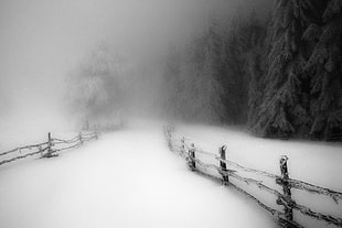 wooden fence, landscape, nature, winter, morning