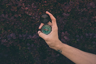 black and green direction compass