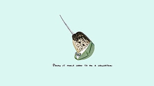 white and black narwhal clip-art, quote