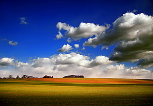 green field under blue sky