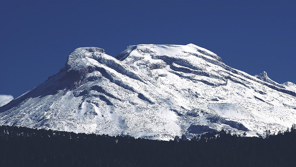 snow covered mountain, mountains, snow, forest HD wallpaper
