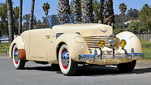 beige vintage convertible roadster HD wallpaper