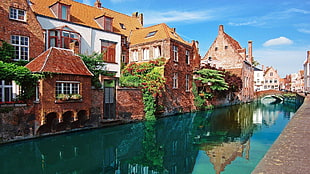 brown brick houses beside the canal HD wallpaper