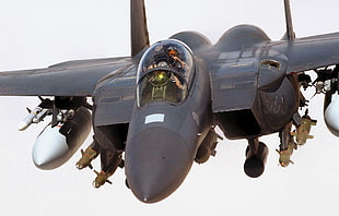 black fighting jet digital wallpaper, F-15, aircraft, military aircraft, vehicle