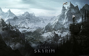 Skyrim game poster, The Elder Scrolls V: Skyrim, dragon, humor, video games