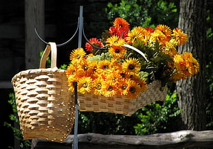 yellow flowers in basket