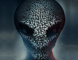 Skull formation