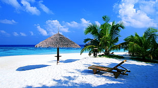white sand beach with wooden sun lounger and hut near palm tree