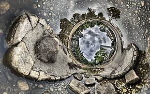 photography of high-rise concrete buildings, stereographic projection, trees, building
