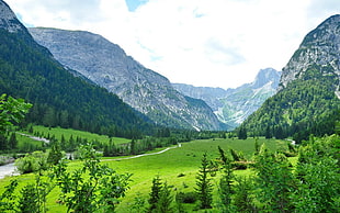 green mountains, landscape, mountains HD wallpaper