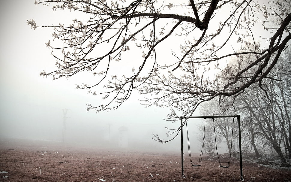 gray scale photo of swings under the withered tree HD wallpaper