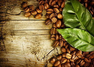 coffee beans and leaf on brown wooden board