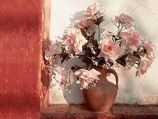 pink bloomed petaled flowers with brown clay pot near brown painted wall