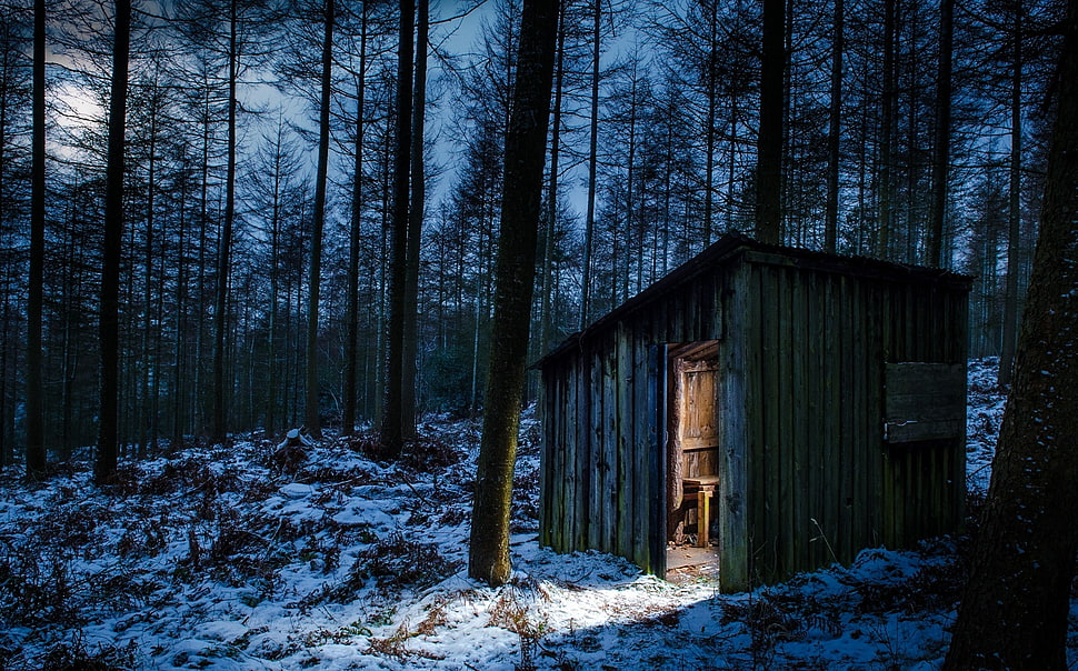 brown wooden shed, landscape, nature, forest, snow HD wallpaper