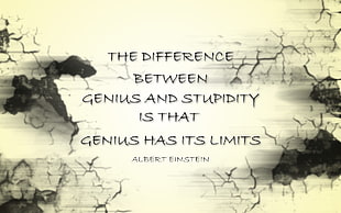 black text on beige background, quote, typography, Albert Einstein