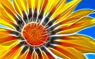 photo of Sunflower digital wallpaper