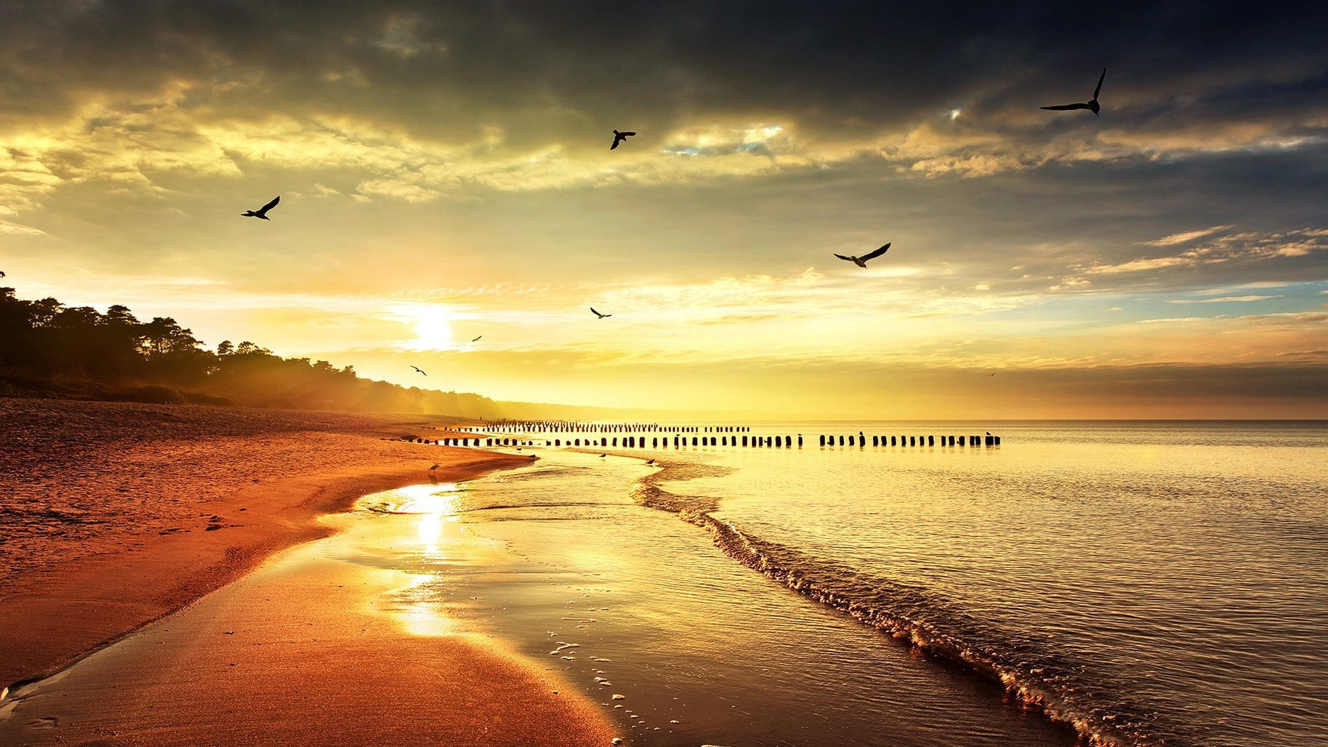 Photography of seaside during sunset HD wallpaper | Wallpaper Flare