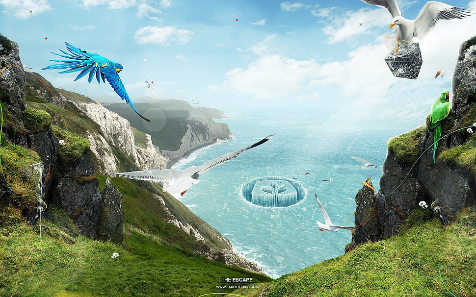 blue and white birds illustration, island, digital art, landscape, nature HD wallpaper
