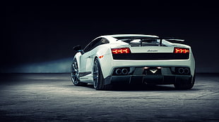 white Lamborghini Gallardo HD wallpaper