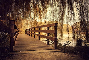 brown wooden bridge, nature, photography, landscape, wooden surface HD wallpaper