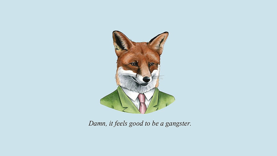 Fox in suit quoted illustration, animals, minimalism HD wallpaper