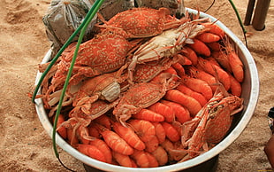 cooked crab